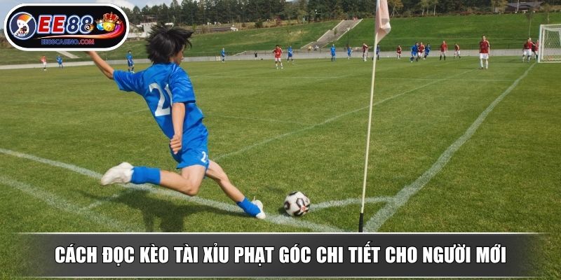 Cách đọc kèo tài xỉu phạt góc chi tiết cho người mới