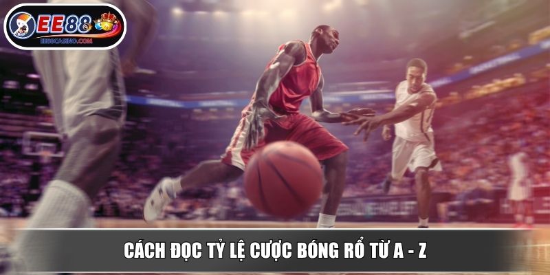 Cách đọc tỷ lệ cược bóng rổ từ A - Z