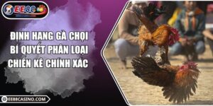 Định hạng gà chọi